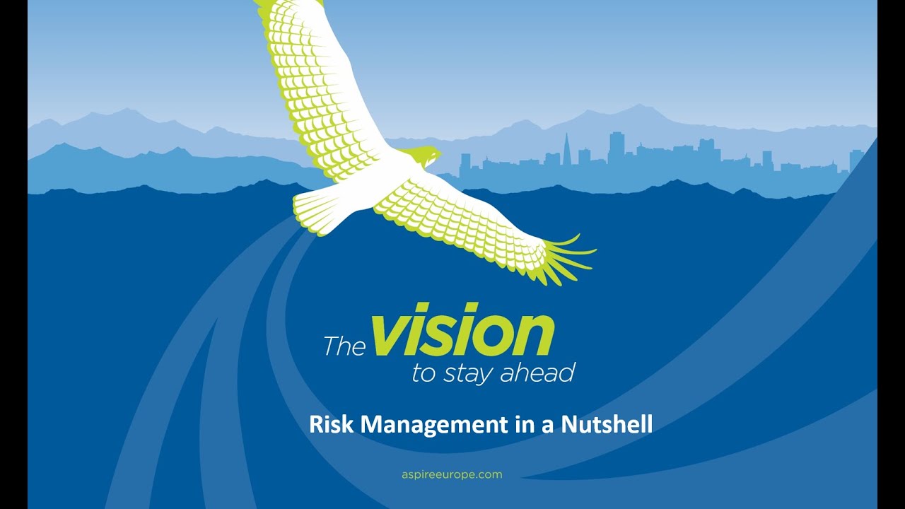 What is MSP Programme Risk Management?