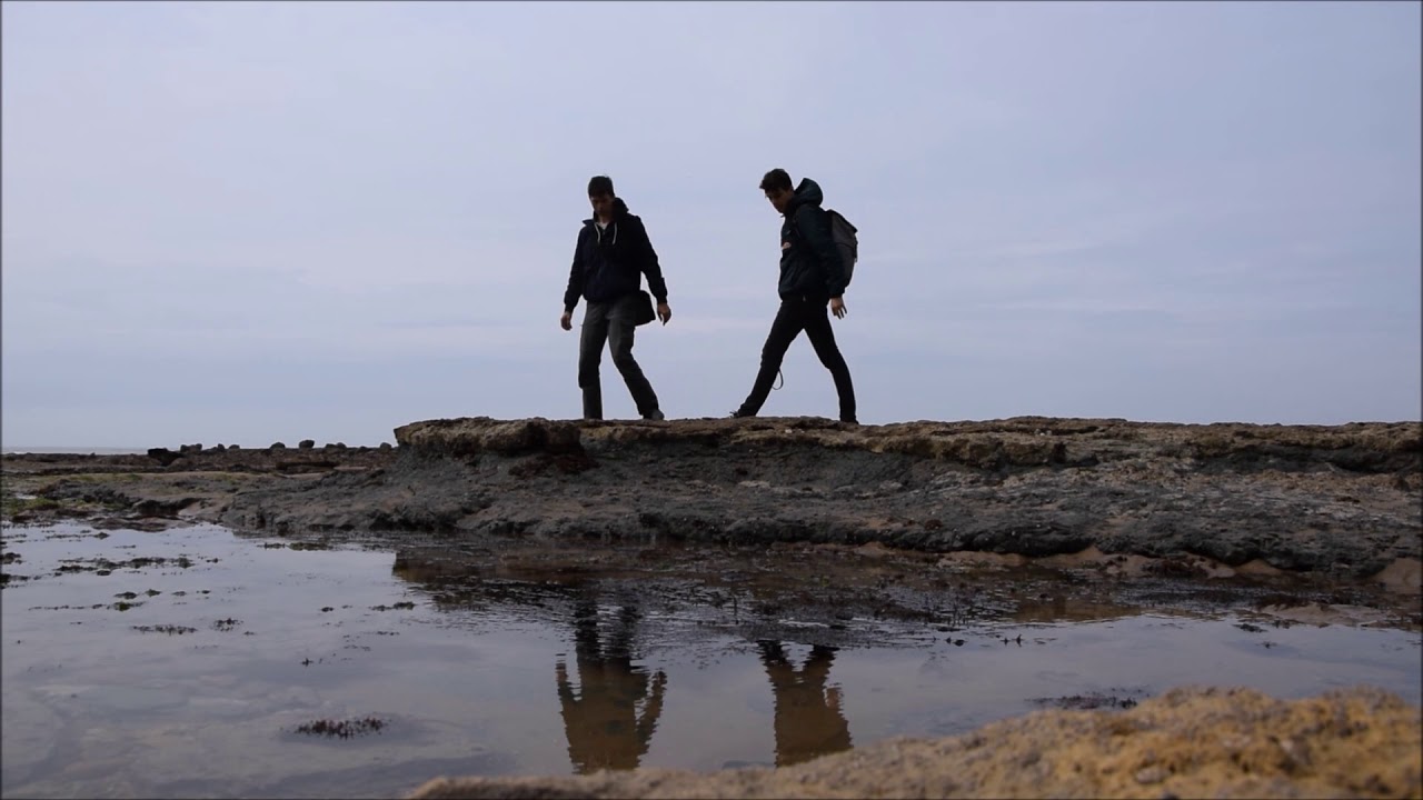 Des traces de dinosaures sur la plage...