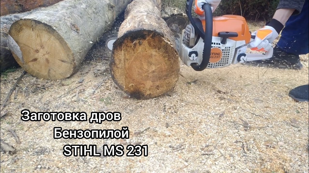Бензопила 👉 STIHL MS 231👈🔥 Заготовка дров. Сосна