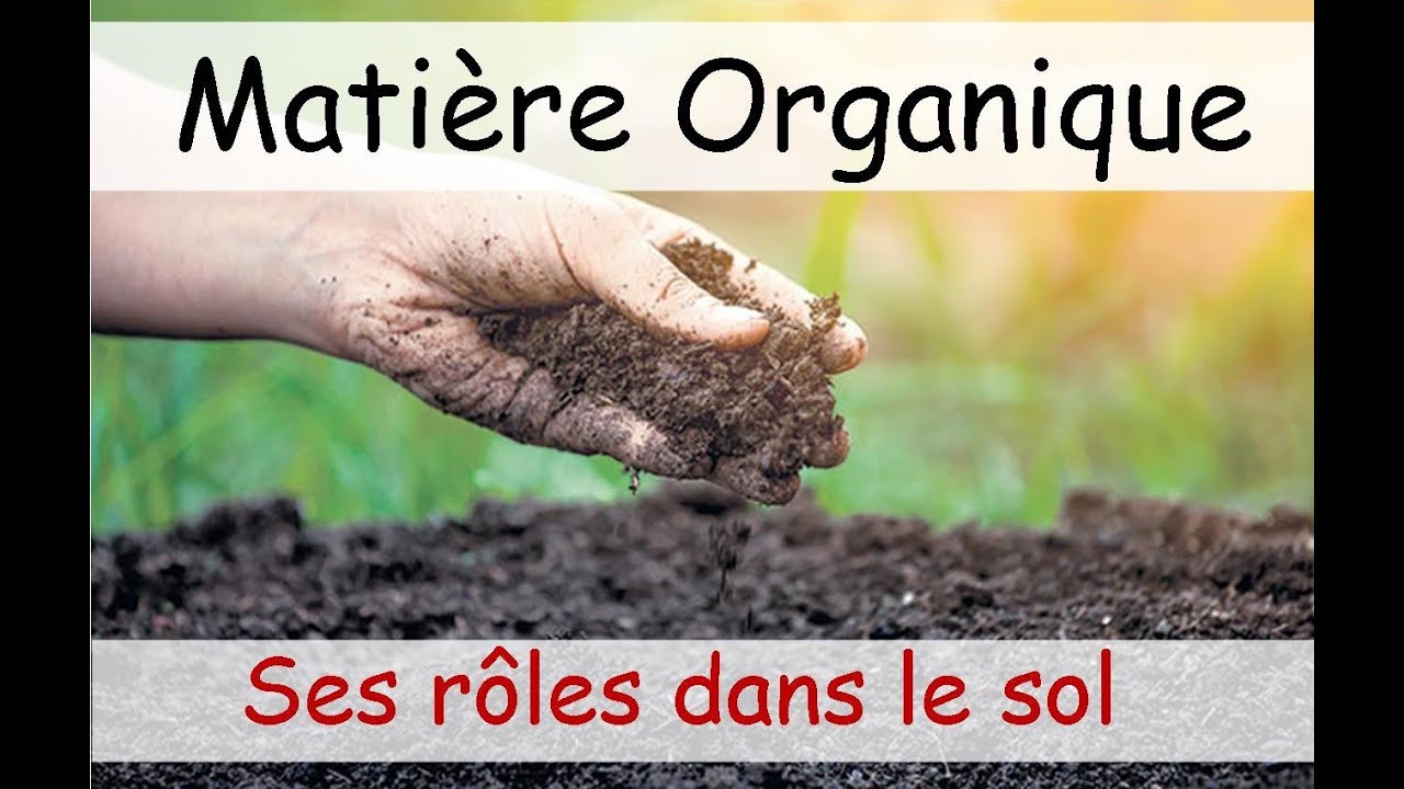 Matière organique : ses rôles dans le sol