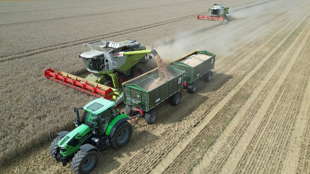 CLAAS LEXION 670TT & LEXION 740 am Triticale dreschen / Abfahrer DEUTZ-FAHR 7250 TTV / 4K