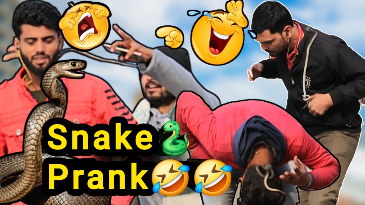 Fake Snake 🐍 Prank video🤣🤣 | 