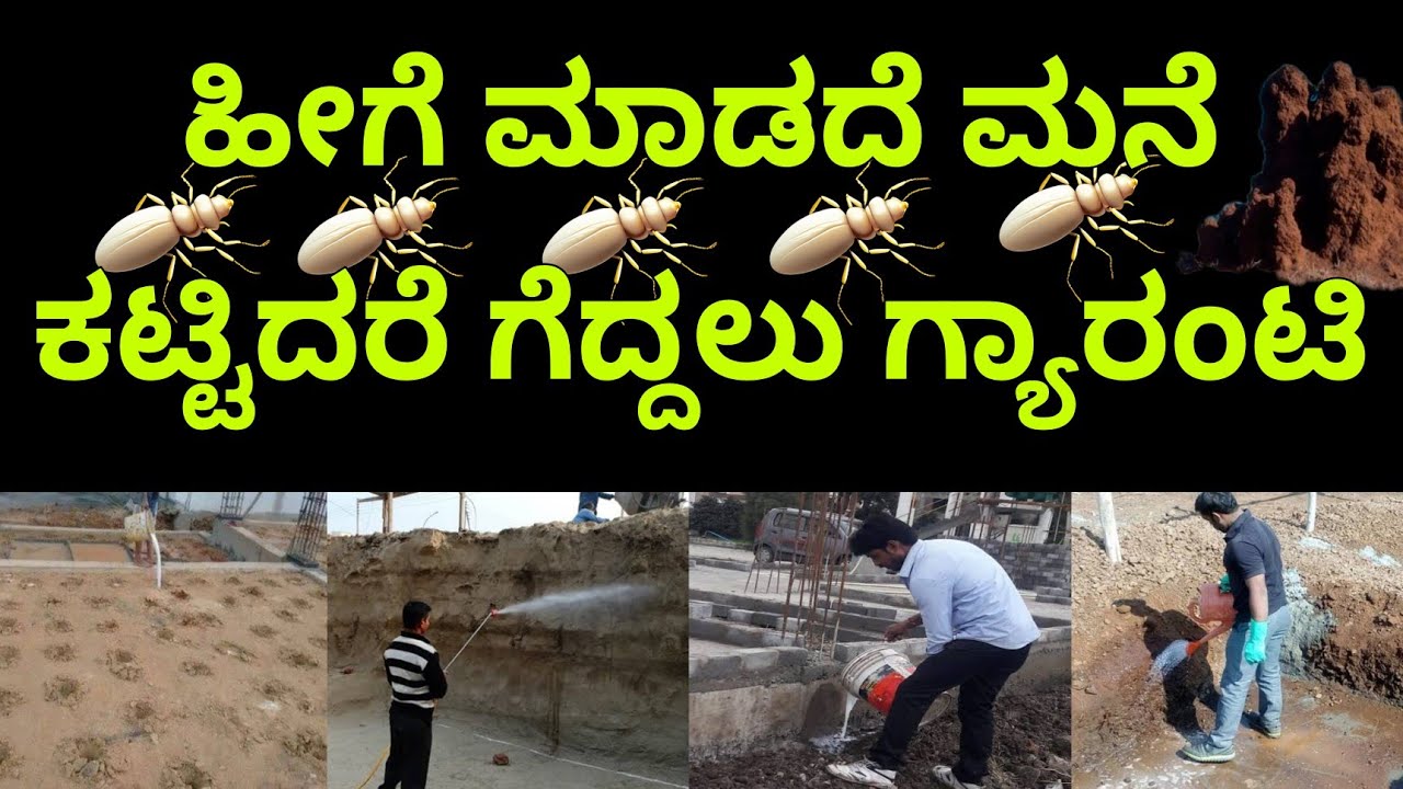 ಅಲಕ್ಷ್ಯ ಬೇಡ | Termite treatment for home | termite treatment for wood | termite inspection