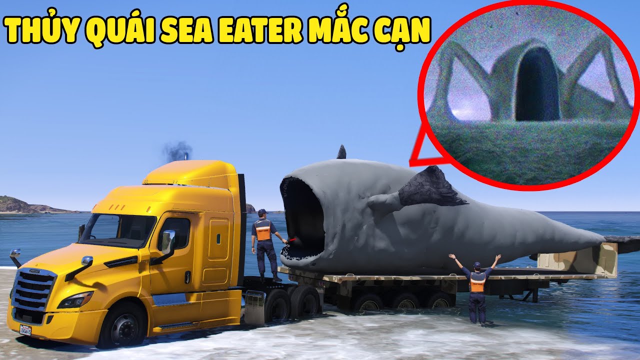 SEA EATER Bị Mắc Cạn Trên Bãi Biển Và Chuyến Hàng Bất Ổn Vận Chuyển Thủy Quái Về Khu Vực 51 Bí Mật !