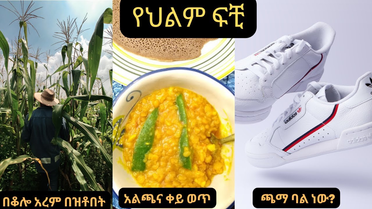 በቆሎ አረም በዝቶበት፤ ጫማ ባል ነው፤አልጫና ቀይ ወጥ