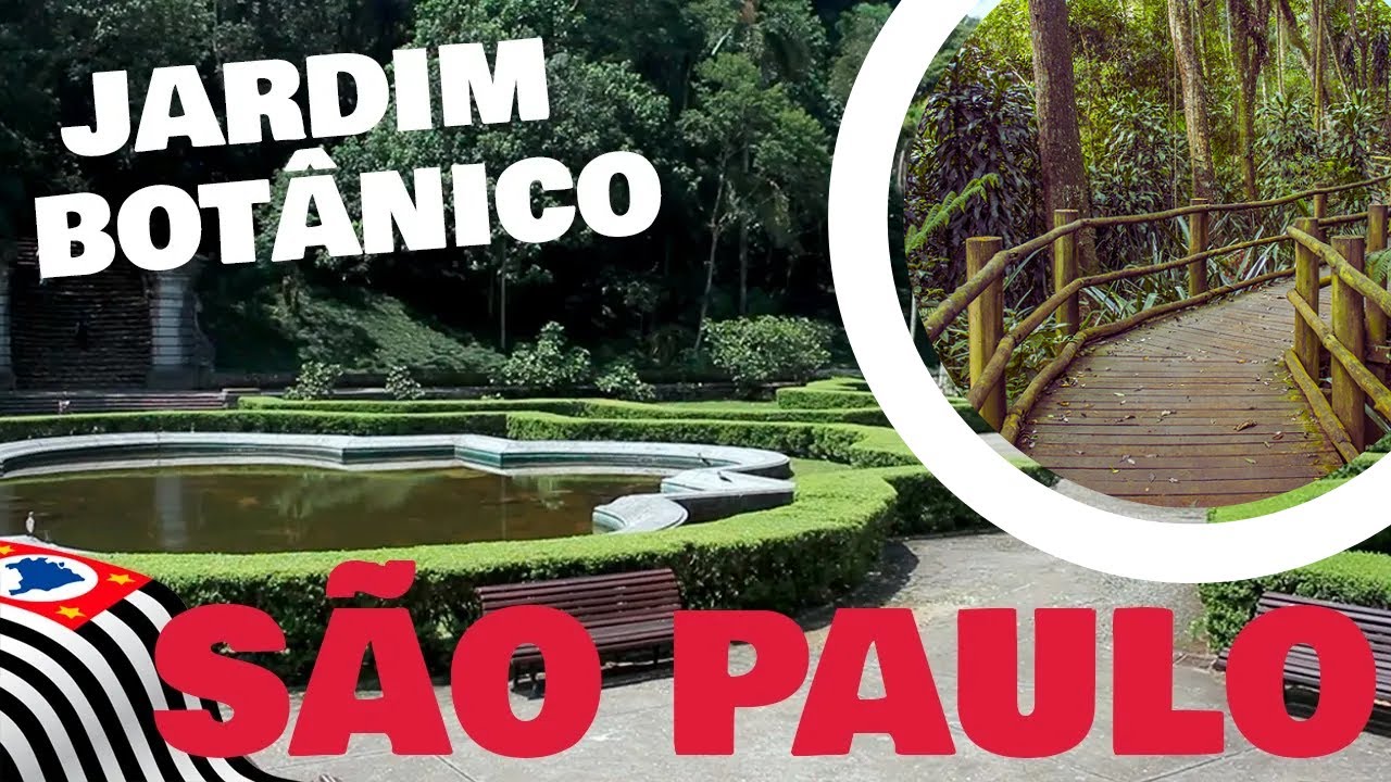 JARDIM BOTÂNICO de SÃO PAULO: Um Refúgio de Natureza na Capital