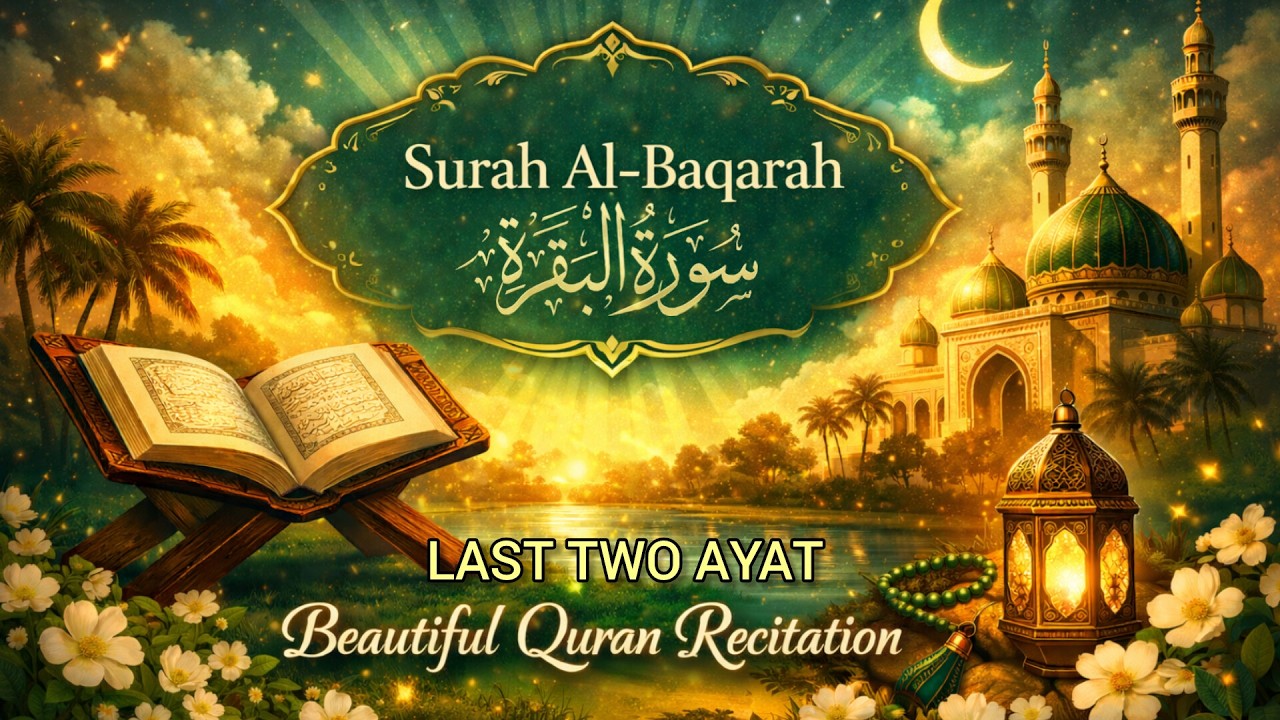 Surah Baqarah Last Two Ayat Live | Most Powerful Ayat | Beautiful Quran Recitation