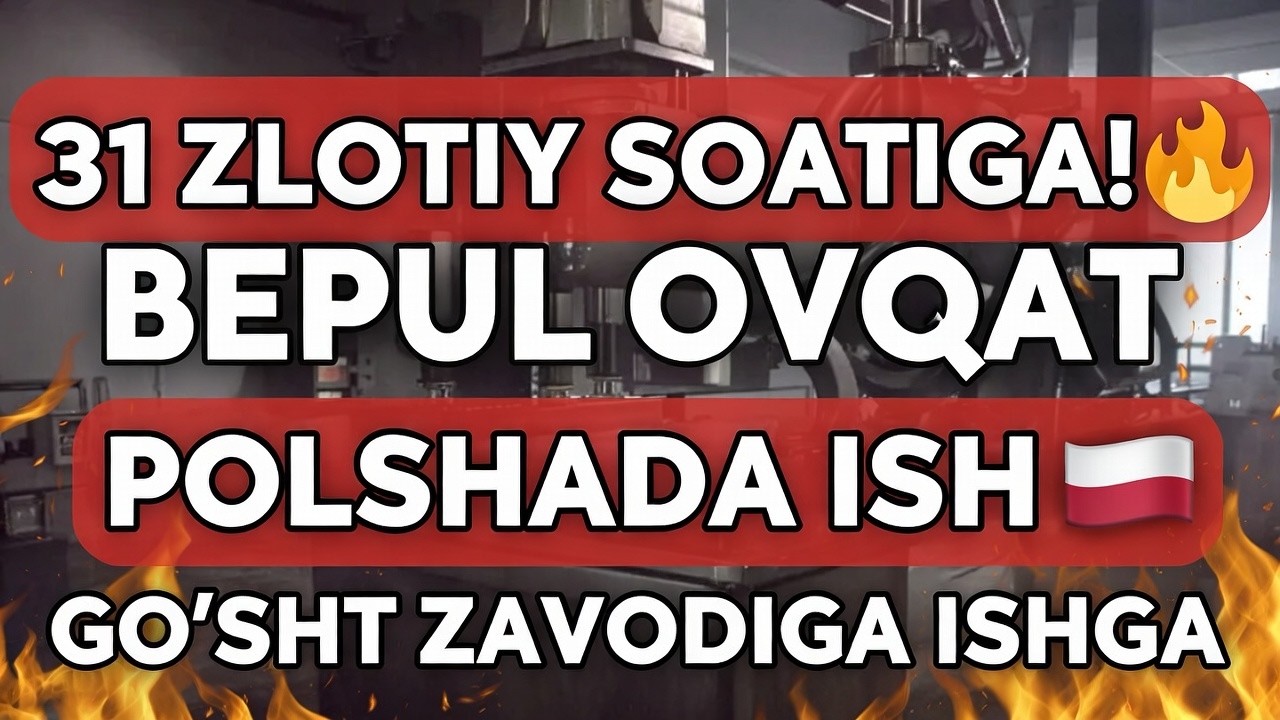 Polshada Ish 🔥 Soatiga 31 Zlotiy | Bepul Ovqat +Uy! #mdh #ishqidirish