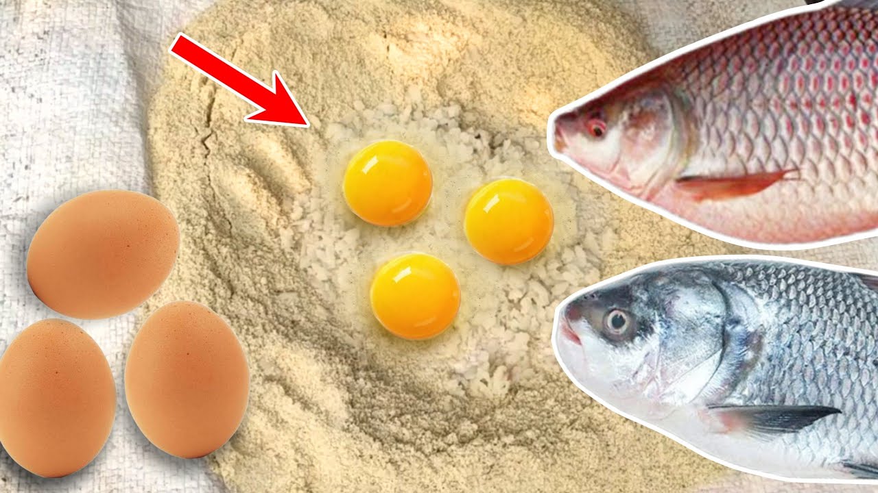 Best Chara for big Rohu,Mrigal fish | रोहू, मृगल का ढेर लगा देने वाला चारा 100% Result