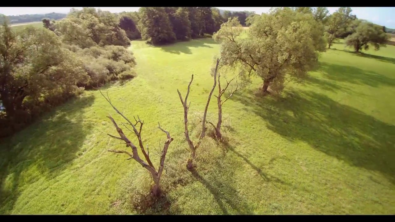 Landschaftsvideo 2017