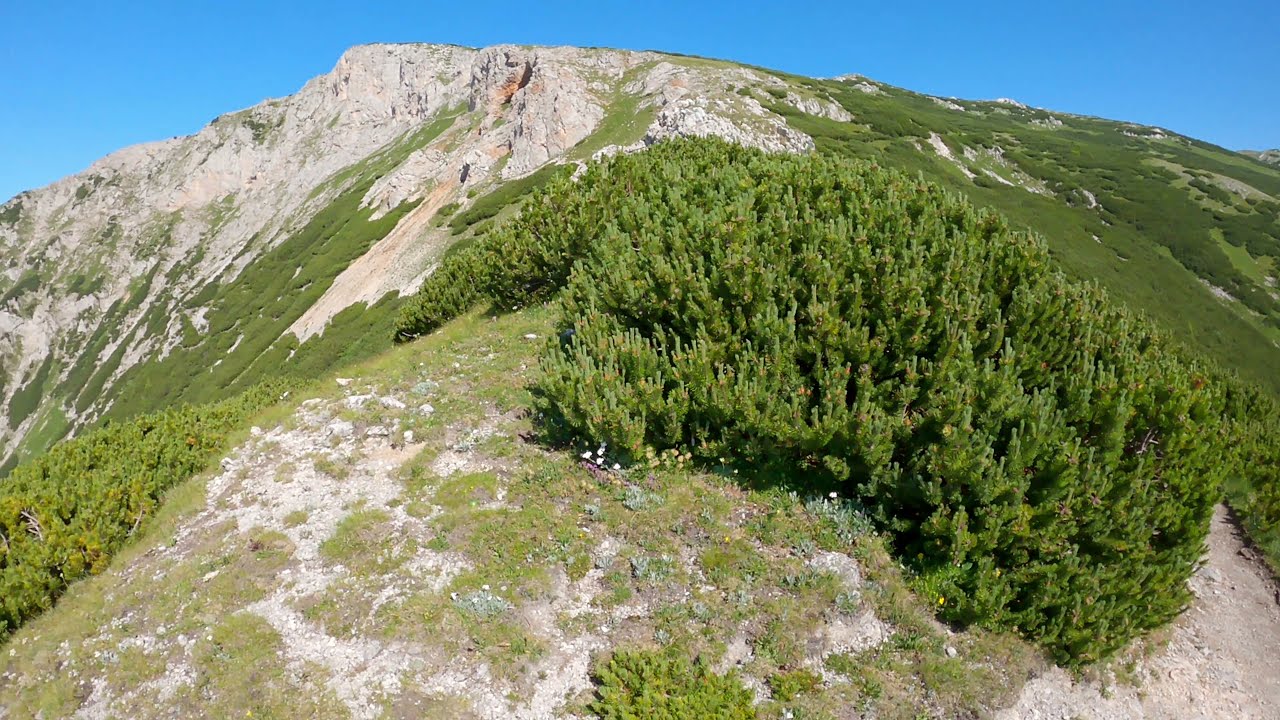 Rax: Heukuppe
