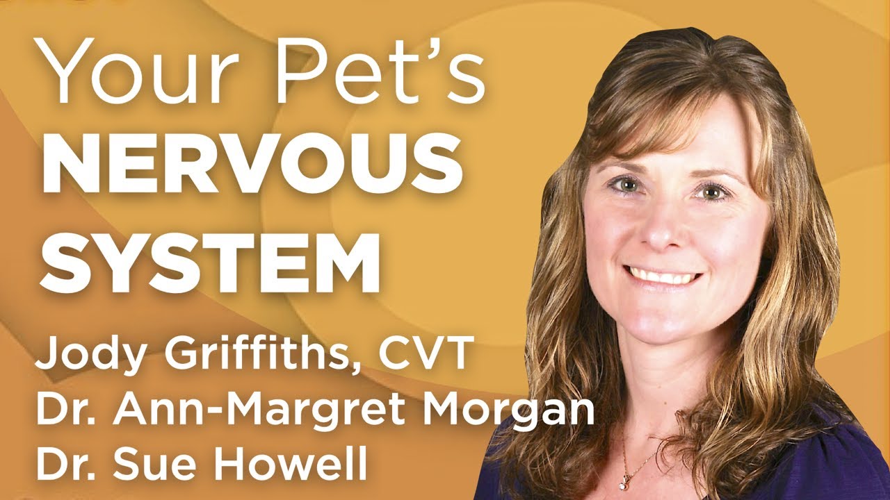 The Nervous System, Pet Rehab, and Veterinary CSI | WholisticMatters Podcast | Wholistic Pet Care