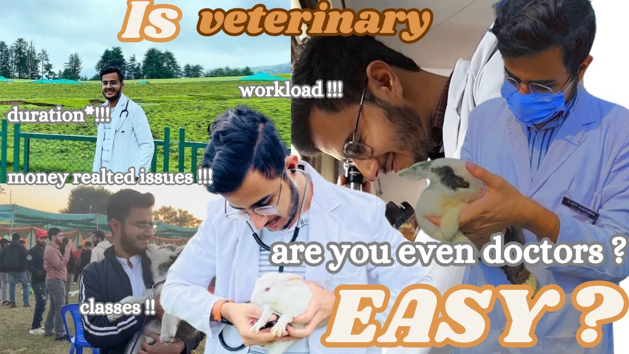 Is veterinary easy ? Should you choose BVSc and A.H. #veterinary #bvsc #vet #neet #neet2023 #mbbs