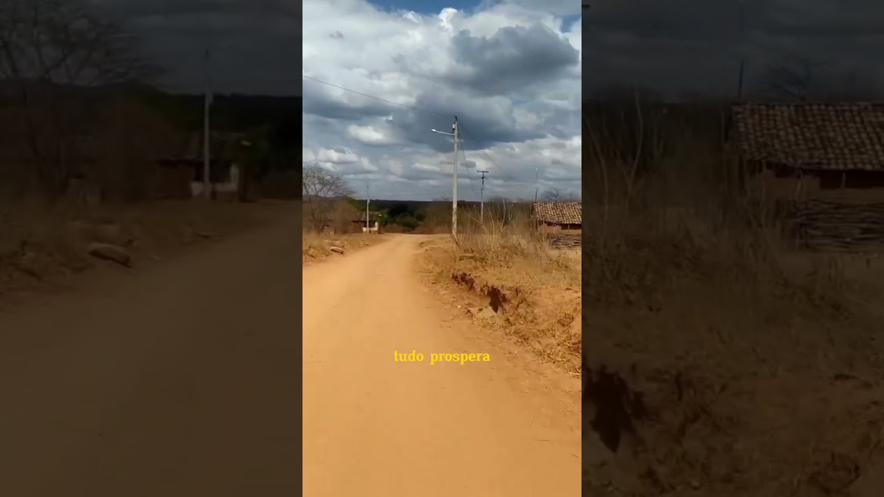 Tudo prospera