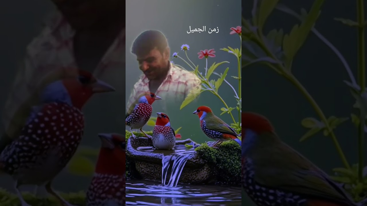 ٢٢ نوفمبر ٢٠٢٥