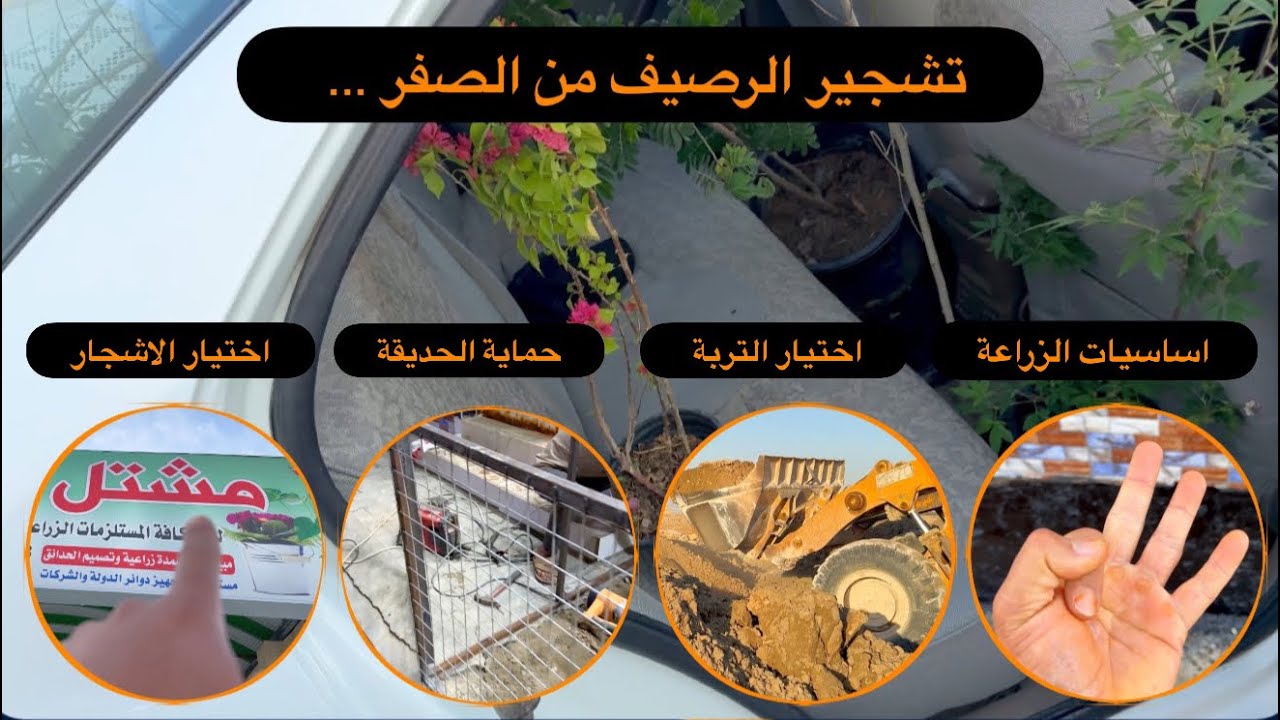 كيف ازرع حديقة من الصفر ؟؟ خطوة بخطوة وبالتفاصيل تعالوا نتعلم