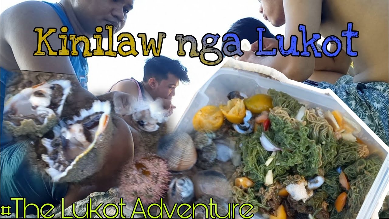 Kinilaw nga Lukot | Pag Panguha ug Lukot #CamotesIsland #OorsRandomVlogs #buhayprobinsya