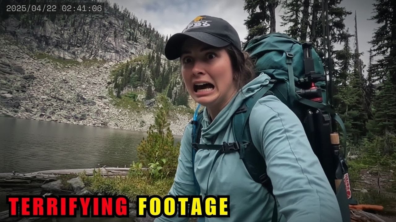 2 Hours Of FOREST Encounters That Will Make You AFRAID Of It