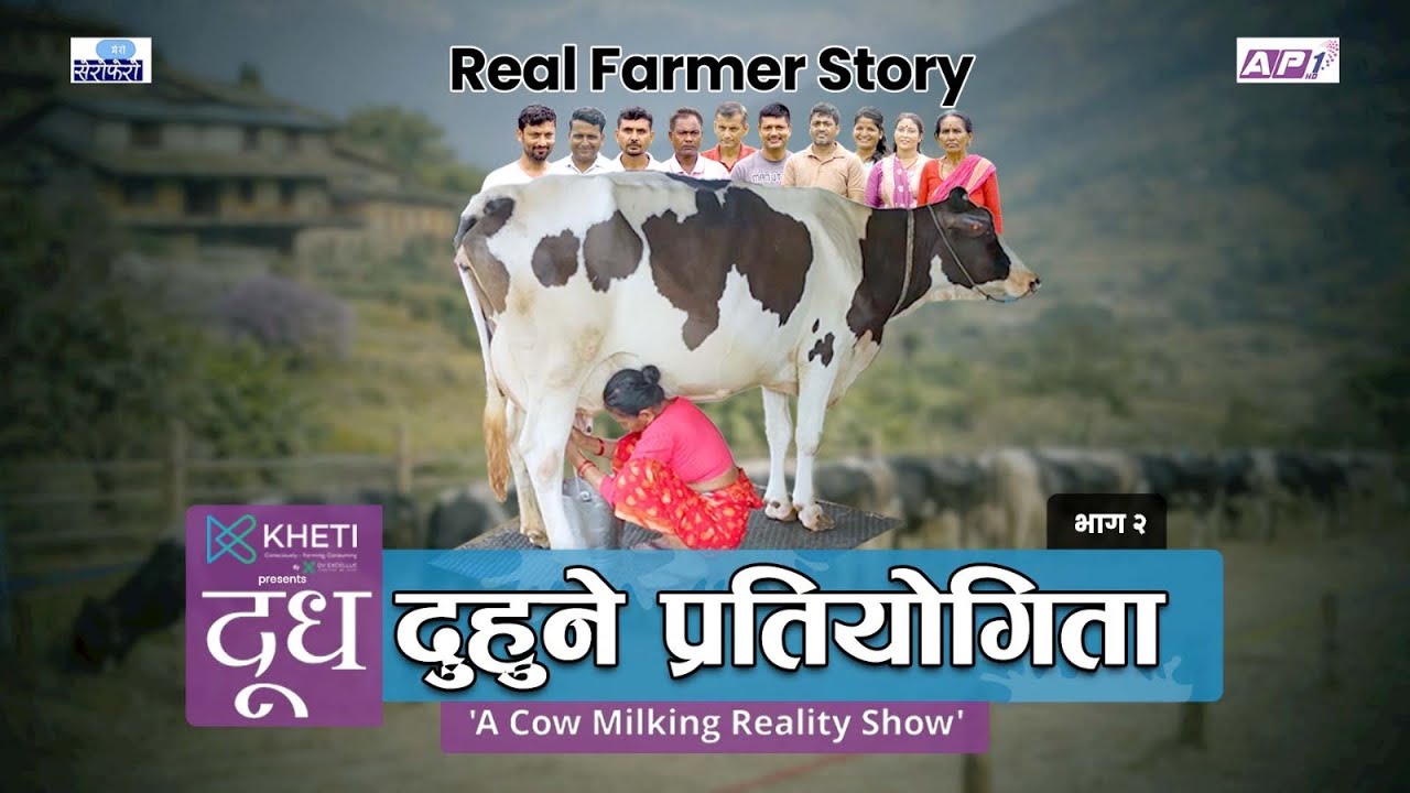 १० किसान छनोट | गोठभित्रको संघर्ष र मेहनत सुरु | ‘दूध’-Cow Milking Reality Show 🐄 EP_2@MeroSerofero