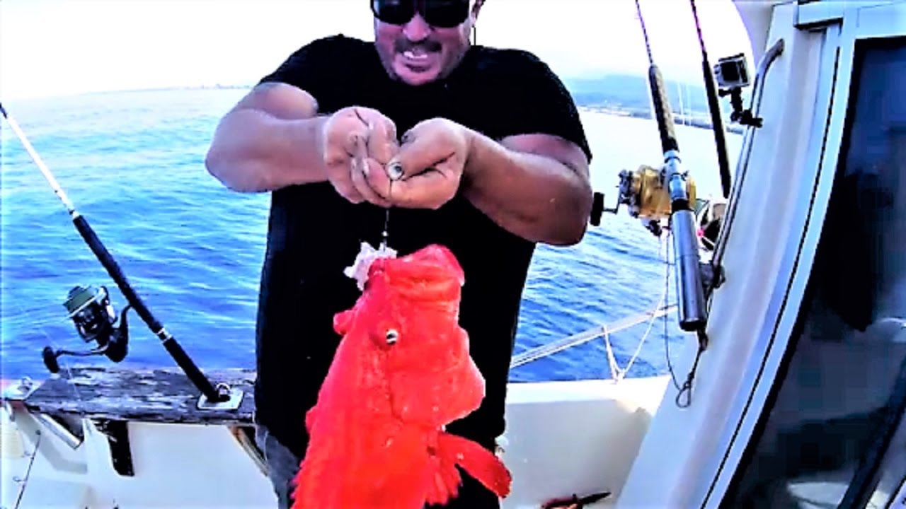 Pêche De Fond Gros poisson Thon au leurre Fishing à la Réunion