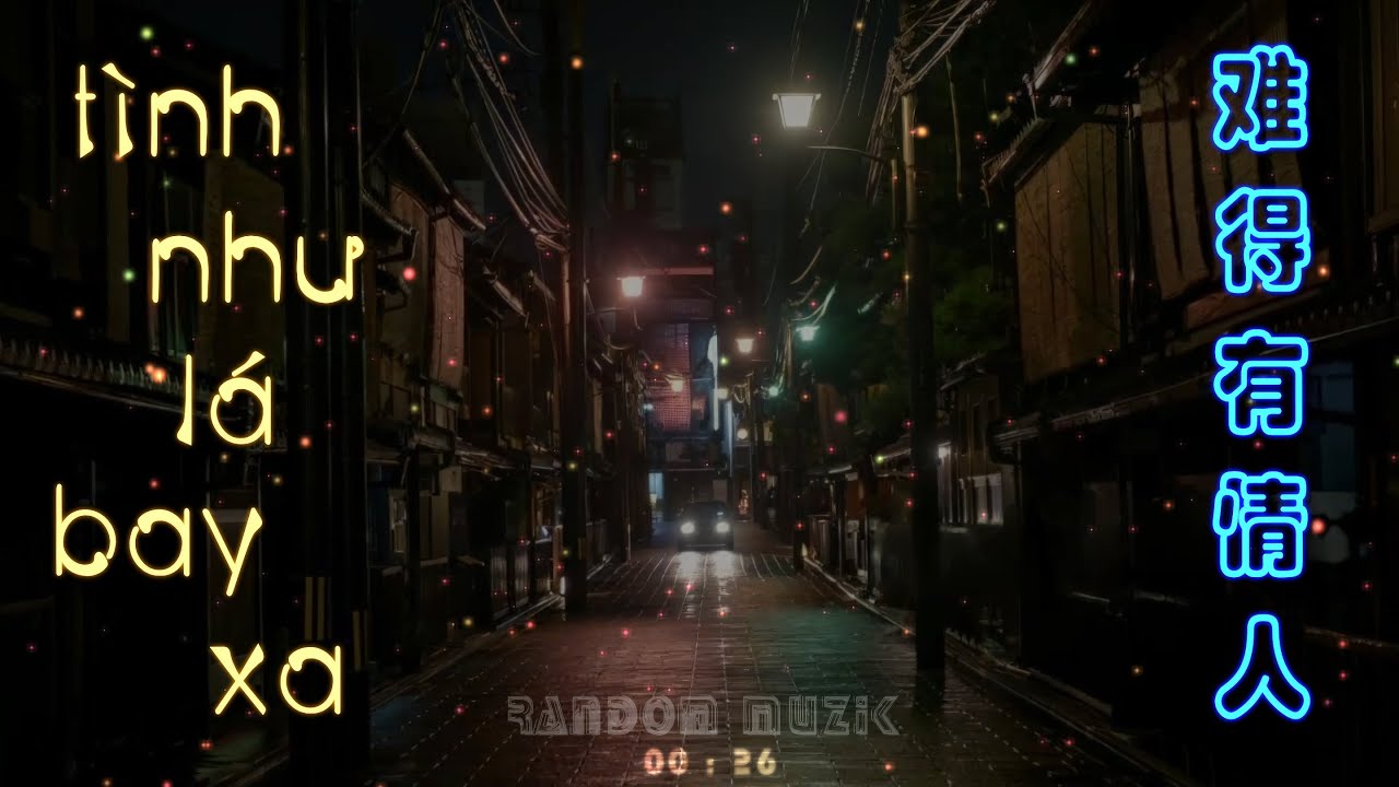 Tình Như Lá Bay Xa Remix - Quan Thục Di | 难得有情人 (DJ版) 关淑怡 | Nhạc Hoa Bất Hủ❤️ Remix 2024 | 抖音-Douyin