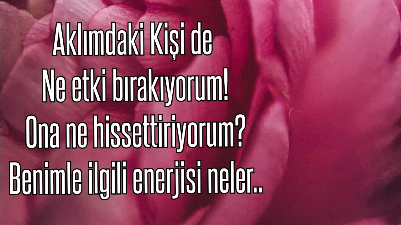 🌳🍃 Aklımdaki Kişide Ne etki bırakıyorum🕊 Ona ne hissettiriyorum☀️ Bana yönelik güncel enerjisi💛 #aşk