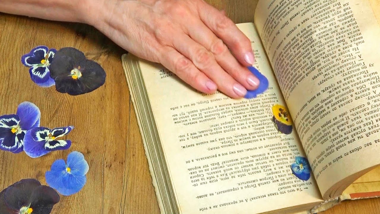 Włożyłam te kwiaty do książeczki i oto co z tego wyszło! 2 pomysły, kt&oacute;re Cię oczarują