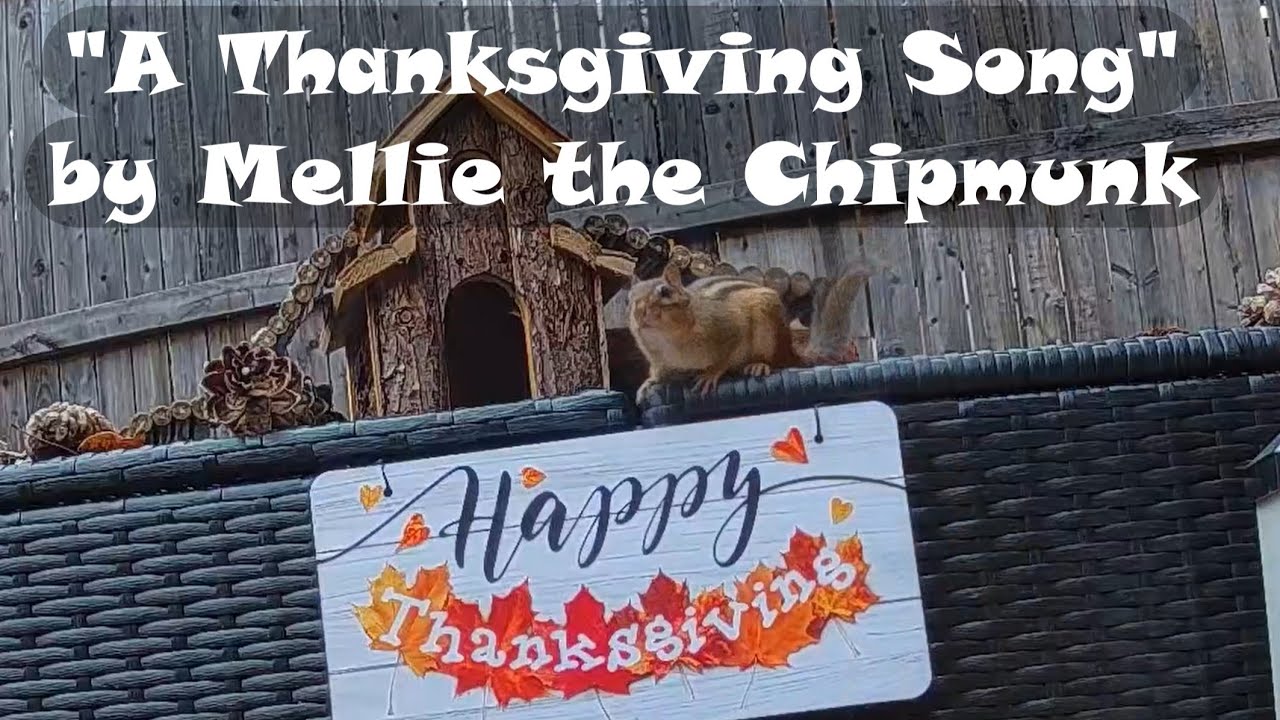 A Thanksgiving Song - By Mellie the Chipmunk and her Backyard friends