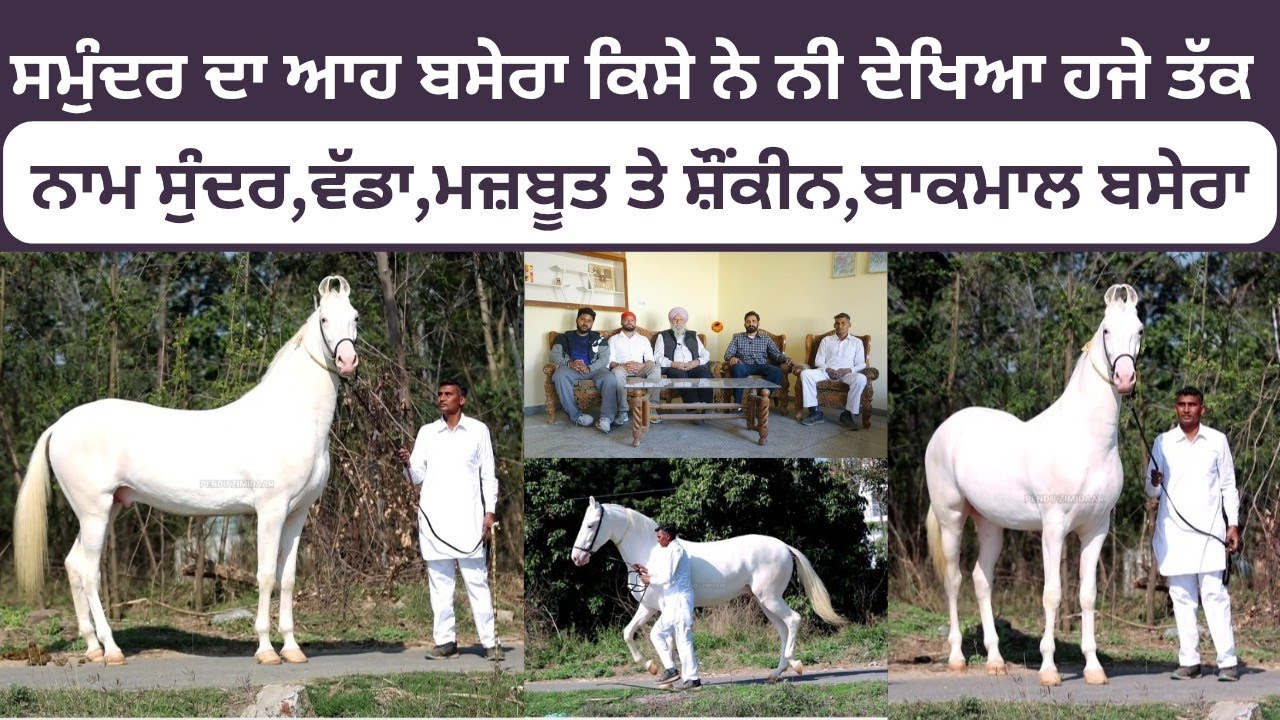 ਹੁਣ ਘੋੜੀਆਂ ਦਾ ਕਸ ਹੋਜੂ ਏਦੇ ਤੇ,ਪਹਿਲਾਂ ਤਾਂ ਦੇਖਿਆ ਈ ਨੀ ਕਿਸੇ ਨੇ ਸਮੁੰਦਰ ਦਾ ਪੁੱਤ ਸੁੰਦਰ,ਭੁੱਖ ਲਹਿੰਦੀ ਆ ਦੇਖਕੇ
