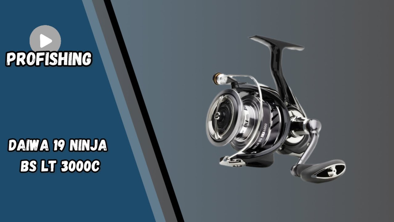 Daiwa 19 Ninja BS LT 3000-C | Разбор и ТО катушки