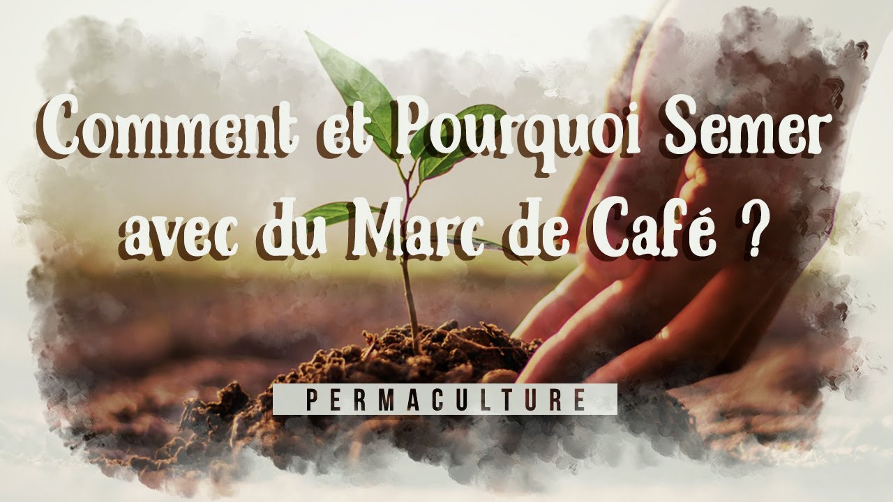 ☕️ Comment et pourquoi faire un semis avec du marc de Caf&eacute; ? ☕️