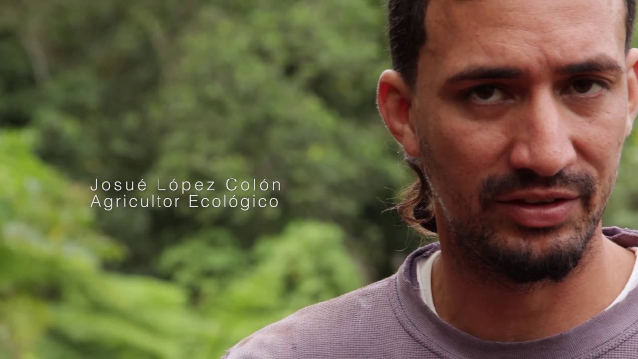 Cosecha Hoy 116-06 Finca la jungla, Orocovis