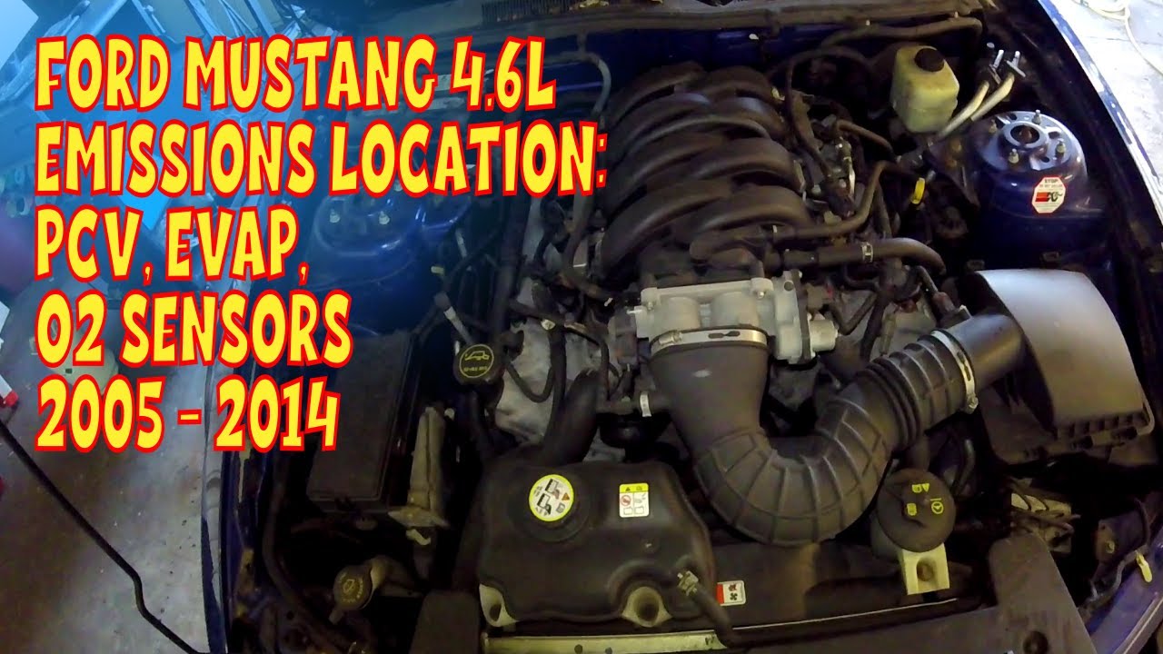 Mustang Emissions Locations and Info. PCV Valve, Oxygen Sensors, and EVAP Purge & Vent.