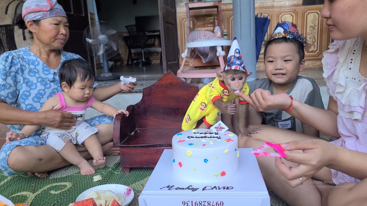 Happy 2nd Birthday Monkey David
