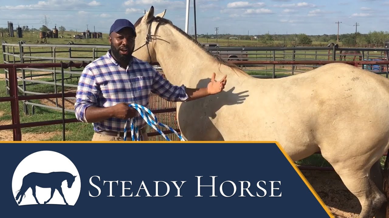 How to Cure a Cinchy Horse