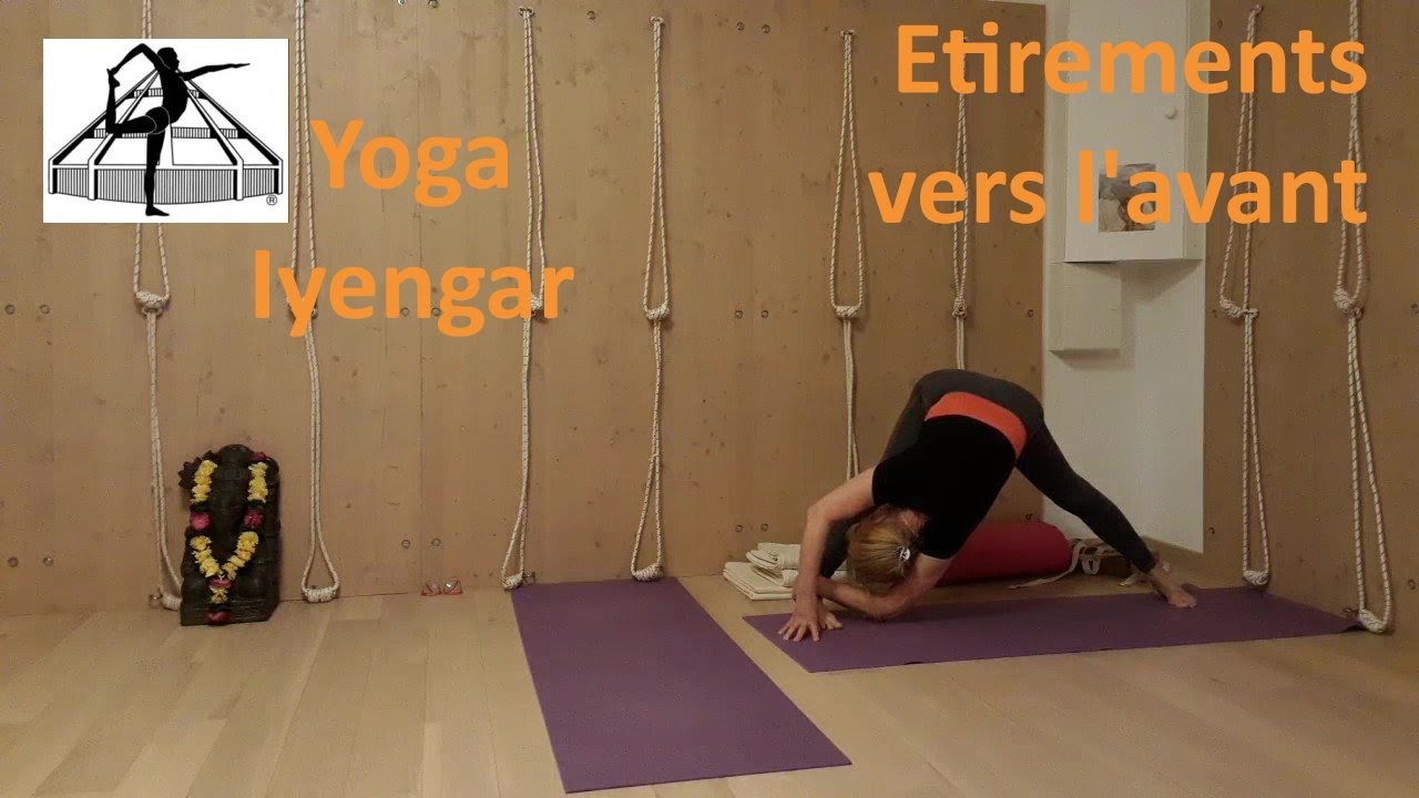 Yoga Iyengar™. Etirements vers l'avant