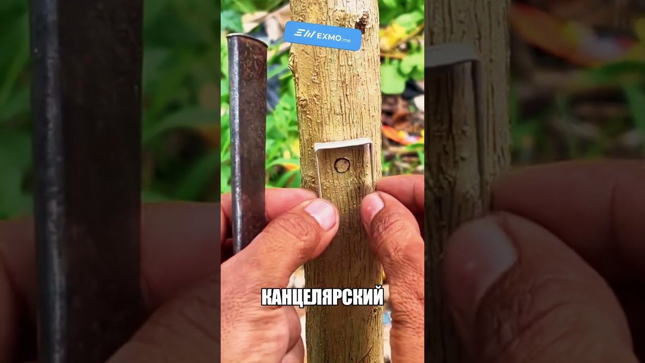 ГЕНИАЛЬНЫЙ САДОВОД