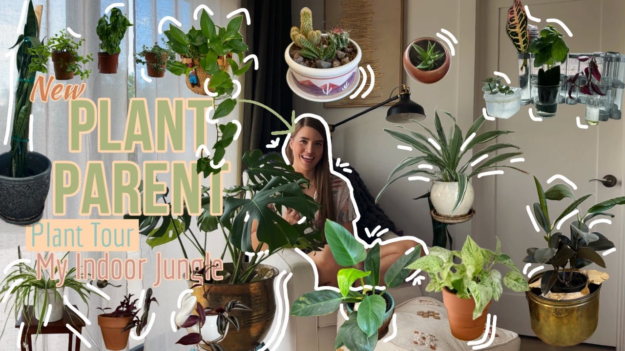 Houseplant Collection 2024 |  A Tour of My Indoor Jungle