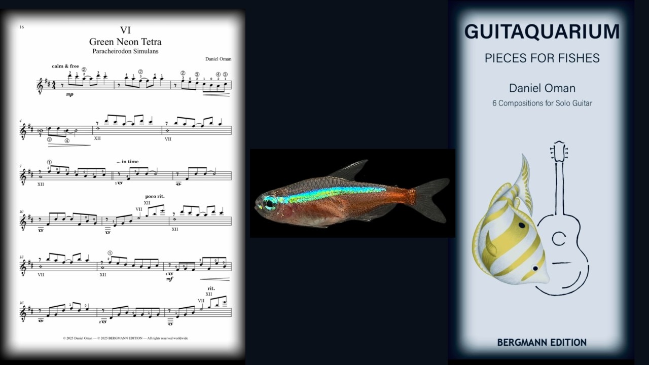 GREEN NEON TETRA // DANIEL OMAN - GUITAQUARIUM