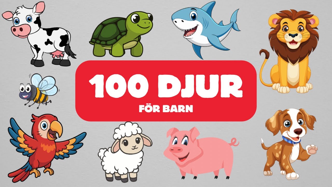 Lär Dig Namn På Djur & Insekter | För Barn - 60 Min