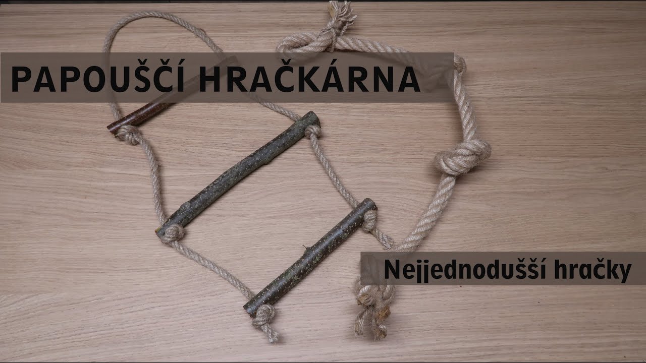 Papouščí hračkárna #1 - nejjednodušší hračky