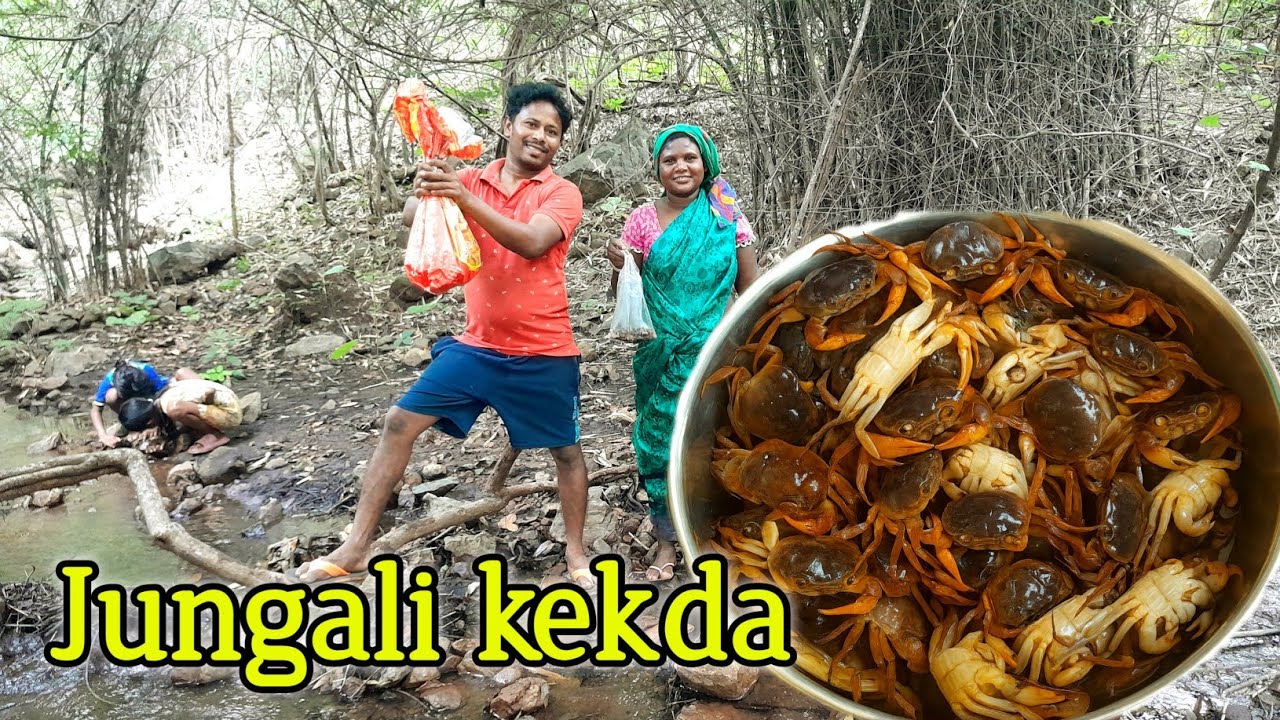 हाथ से जंगली केकड़ा पकड़ने का मजेदार तरीका | Desi Style Crab Huntunglee Crab 🦀 🦀  | 