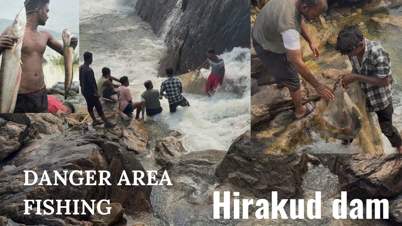 Itna bada bada machli dekh chowk jauoge #village net fishing #hirakud dam fishing video #video