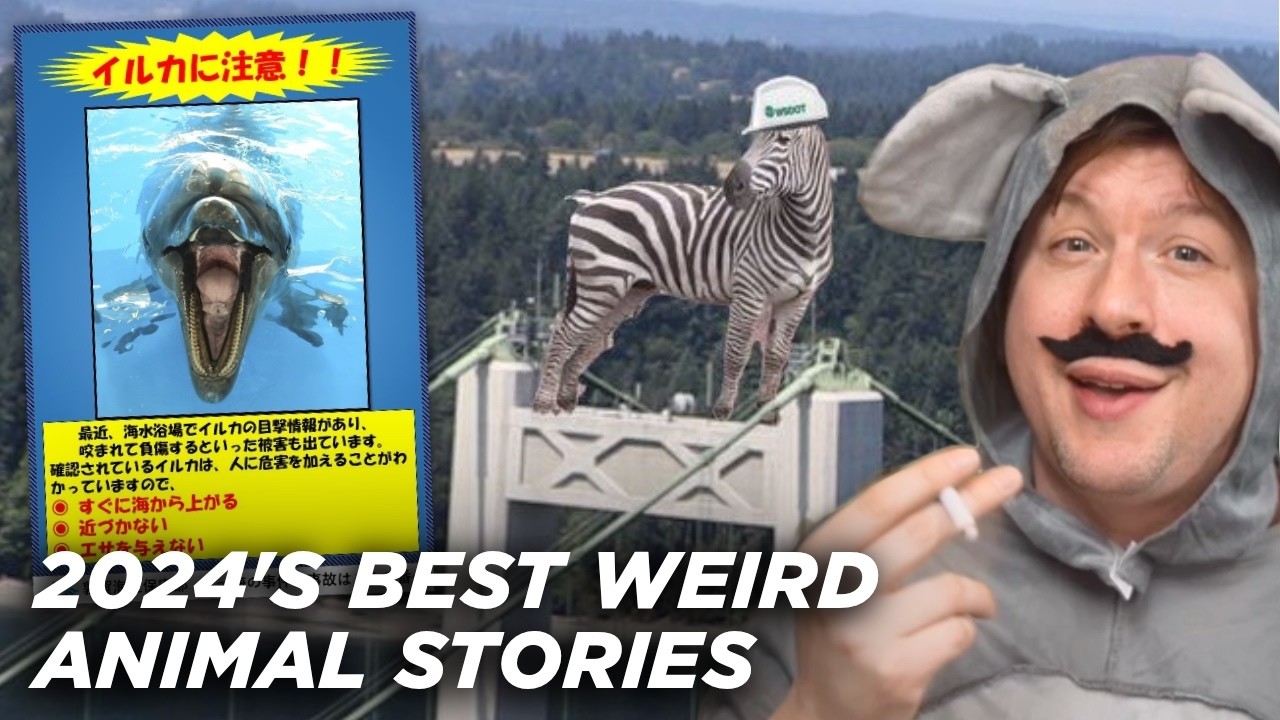 Top 11 Weird Animal Stories of 2024
