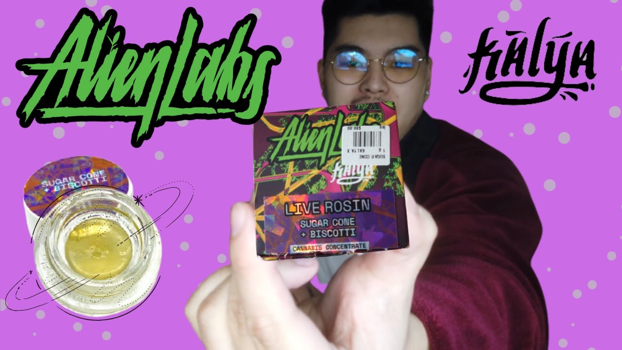 Alien Labs x Kalya Sugar Cone Biscotti LIVE ROSIN!
