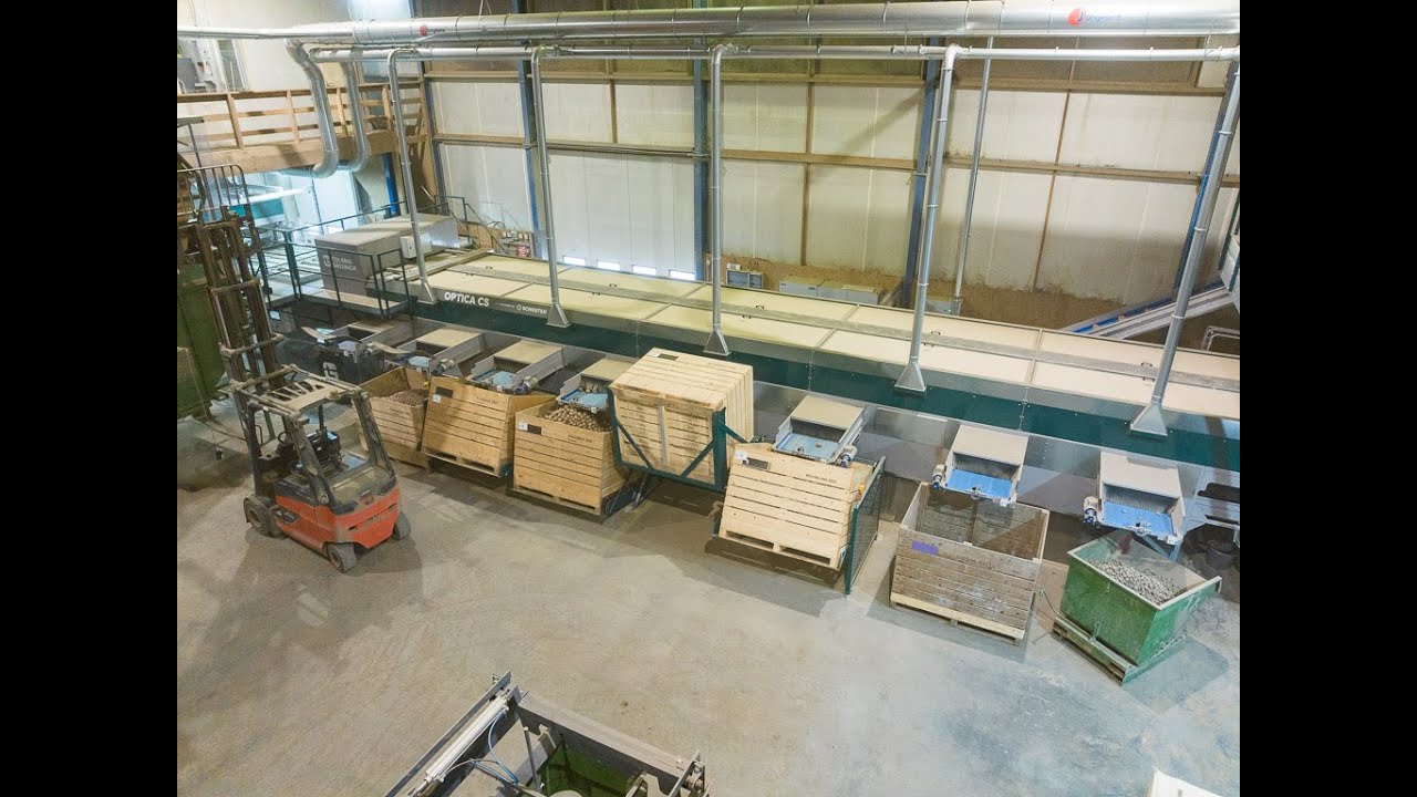 Tolsma-Grisnich optical grading on size and quality with Optica CS and Optica Q