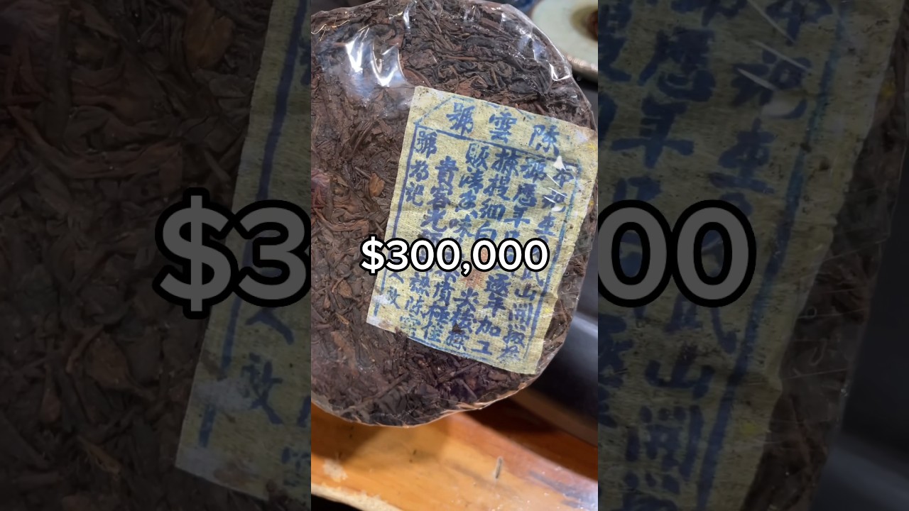 This is a $300,000 cake of tea #tea #expensive #chinese #jessesteahouse #gongfutea #asian