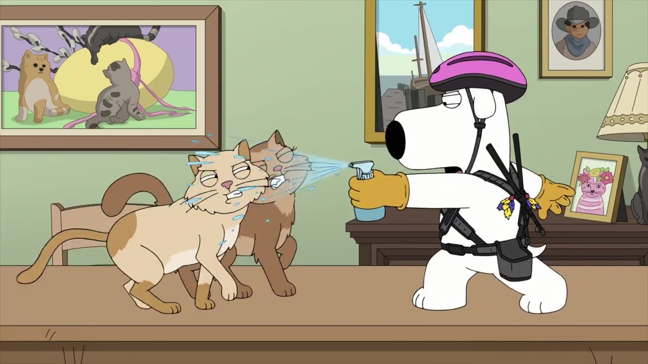 Family Guy - Brian vs the cats