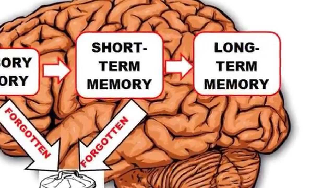 Everyday English video 1