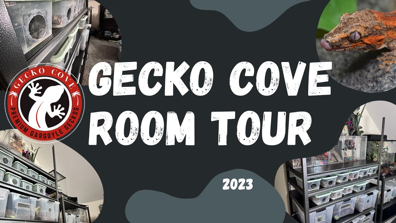 Gecko Cove Room Tour Fall 2023